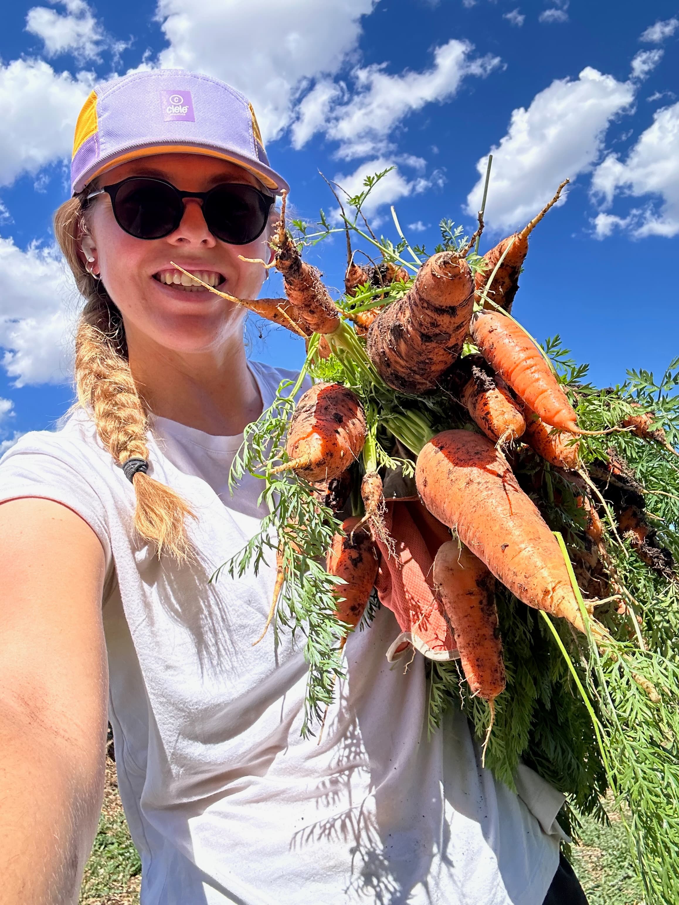 Founder holding freshly harvested carrots